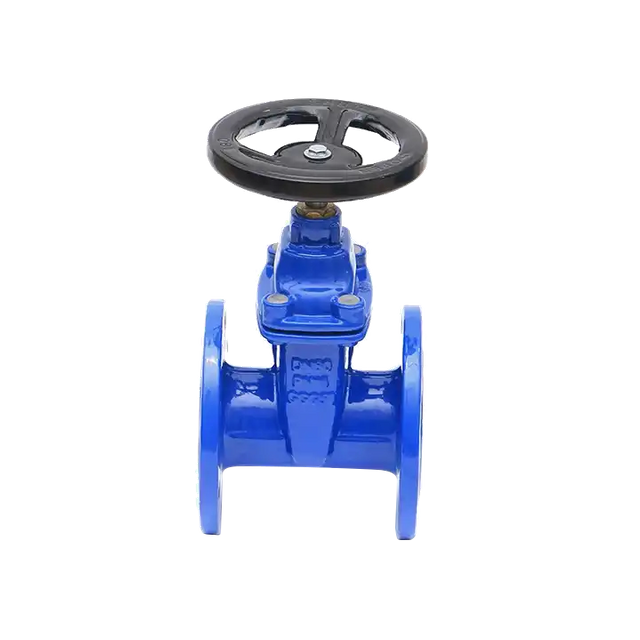 DIN стандартты фланецтің қақпасы клапан