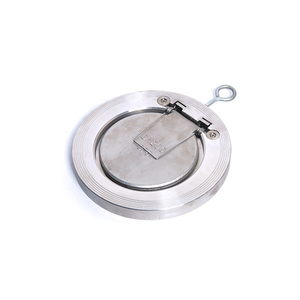 V&aacute;lvula de retenci&oacute;n oscilante de disco �dc47be=H76W-250P